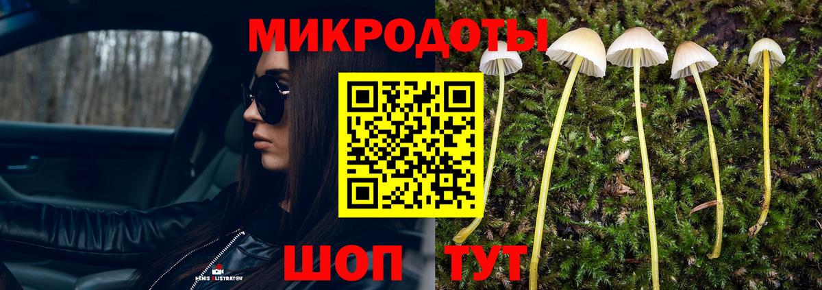 Чусовой  купить закладку  Галлюциногенные грибы MAGIC MUSHROOMS  Вход с VPN  Псилоцибиновые грибы мухоморы 